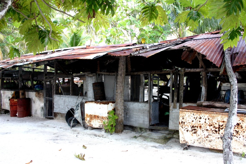 The building that houses many of the freezers.
